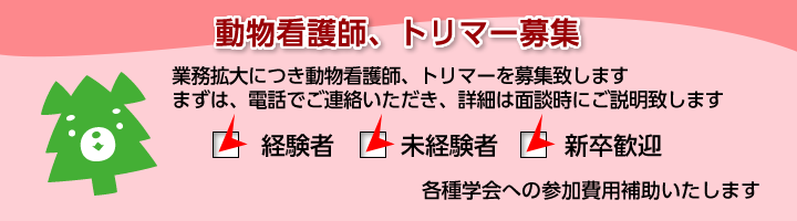 看護師　トリマー募集